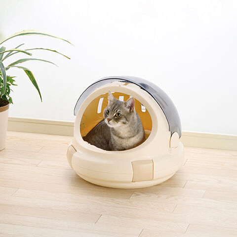 Space Capsule_Iv.jpg